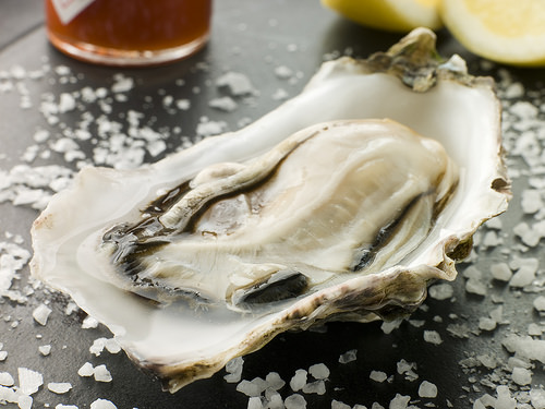 Oyster - Blog Oyster