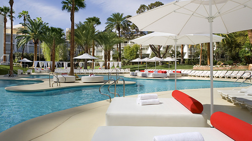 Tropicana Pool - Blog Tropicana Pool