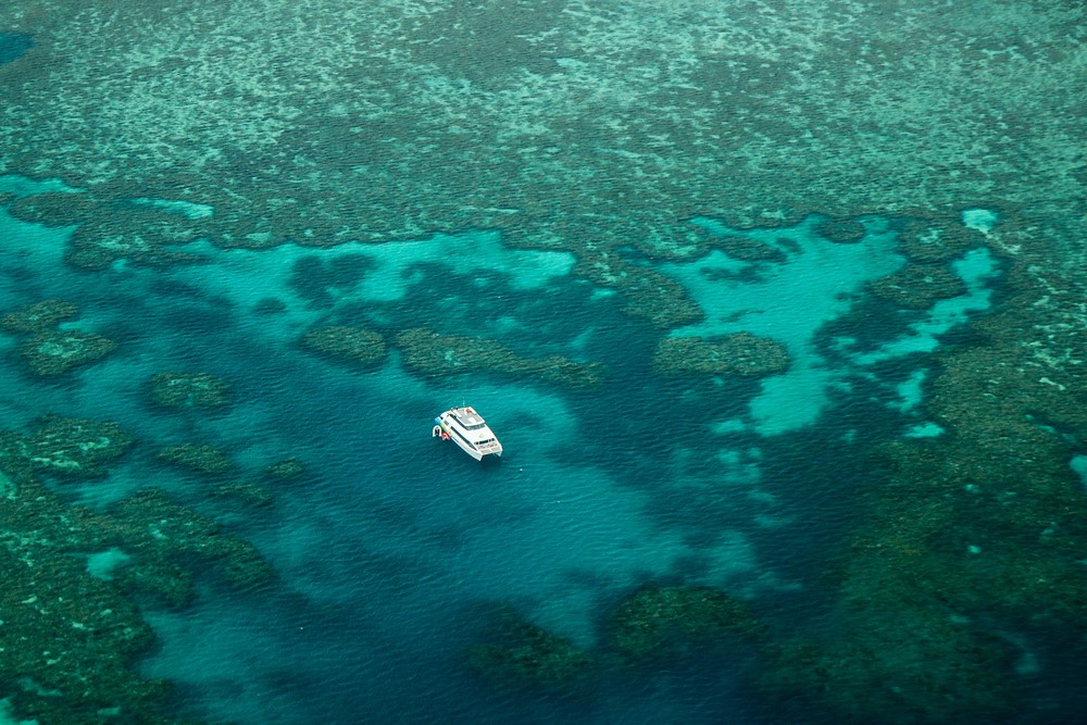 Great Barrier Reef - Blog Great Barrier Reef