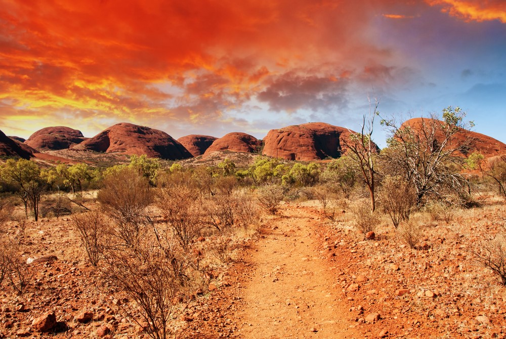 Outback - Blog Outback