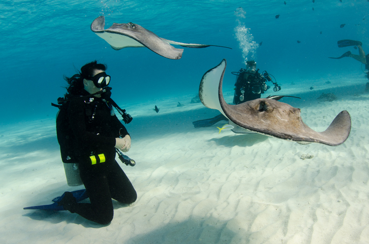 Ocean Enthusiasts – Grand Cayman - Blog Ocean Enthusiasts – Grand Cayman