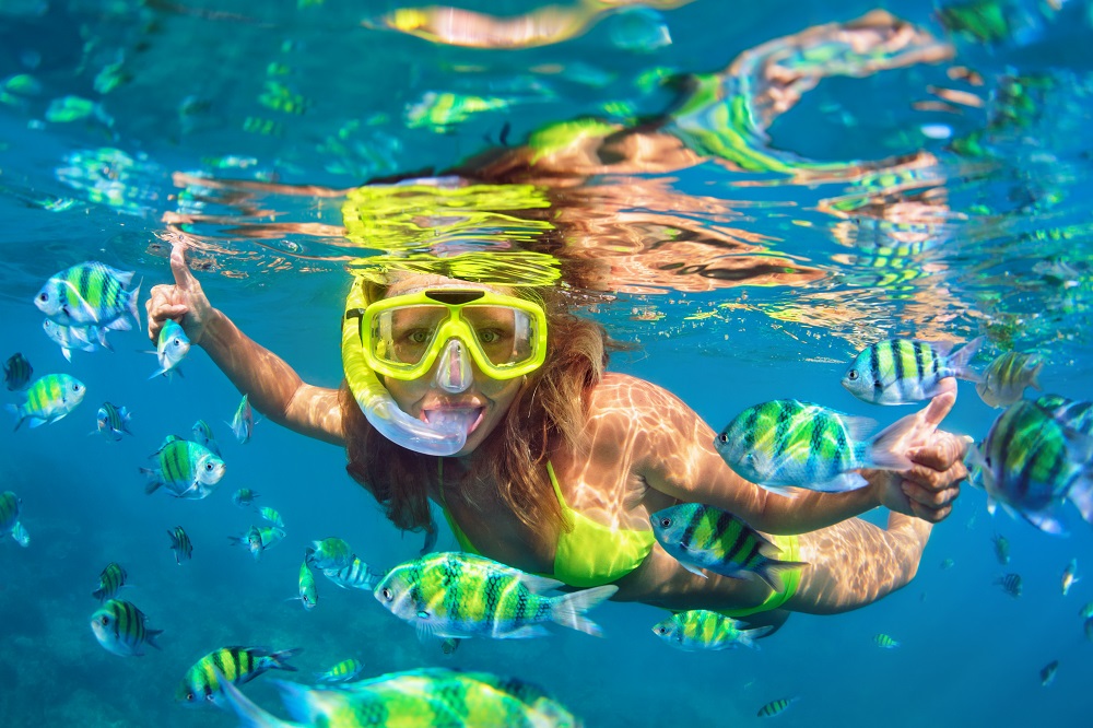 Caribbean Nature Adventure Caribbean nature adventure_blog